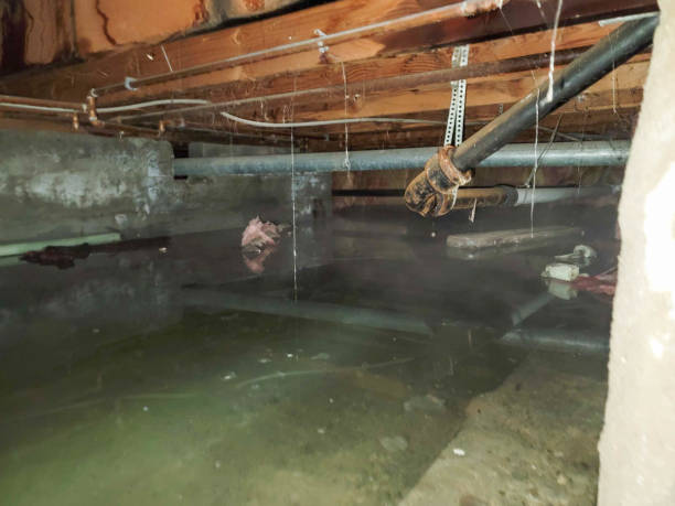 Best Ceiling water damage repair  in Baird, TX