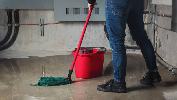 Best Water damage cleanup near me  in Baird, TX