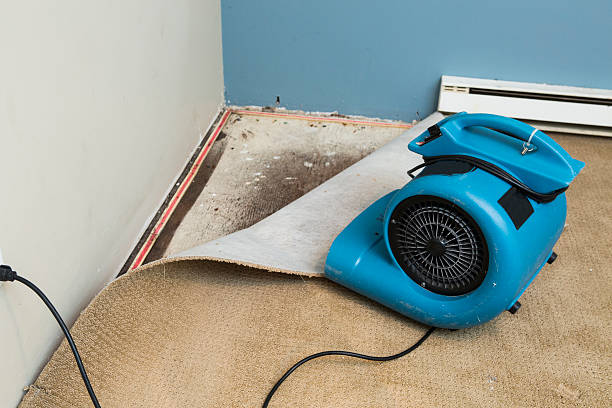 Best 24/7 water damage repair  in Baird, TX